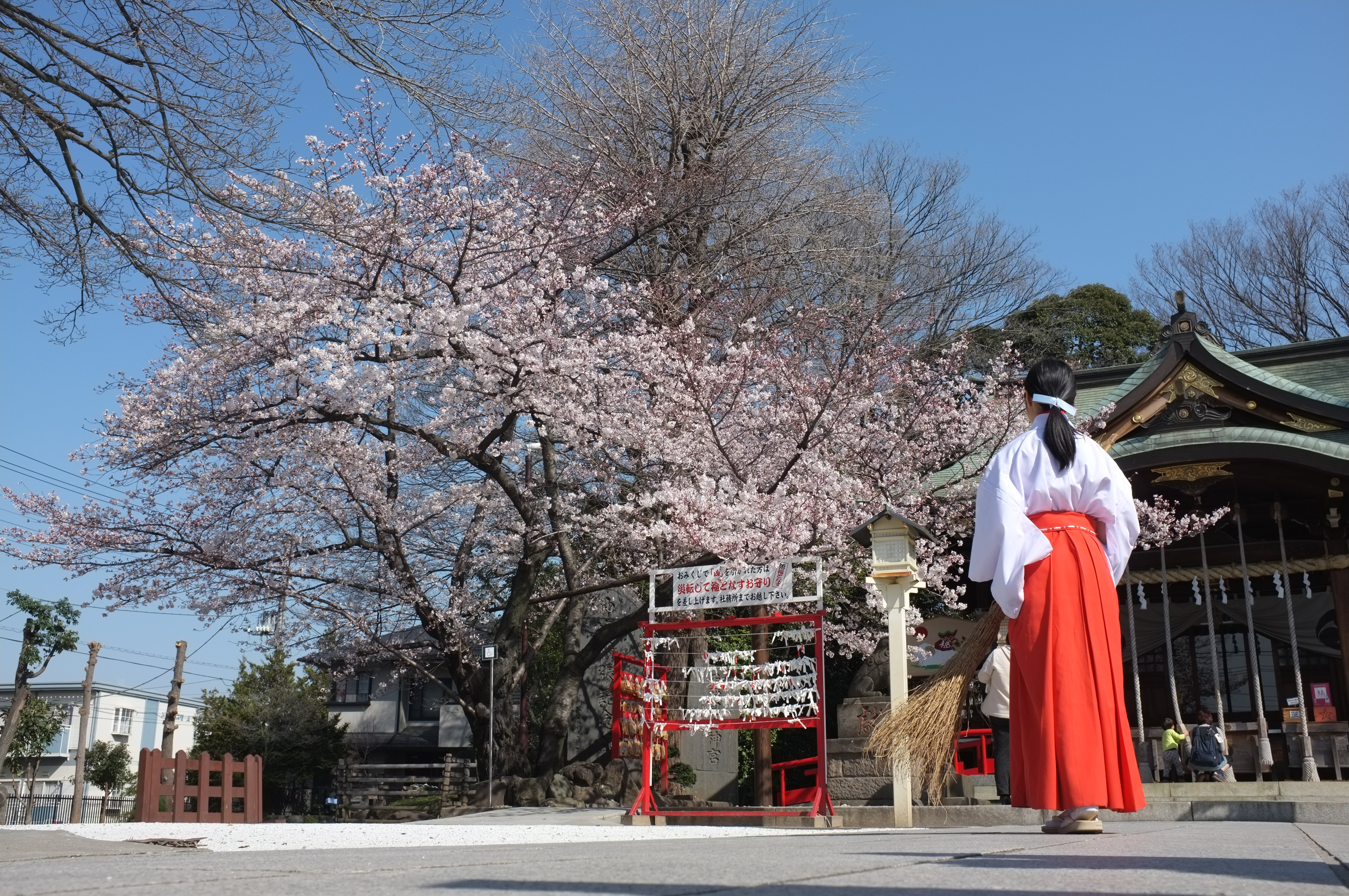 令和三年 お正月 巫女さん募集 川口市の鎮守 氷川神社 初宮詣 七五三 厄除 方位除 安産 縁結び 令和三年 お正月 巫女さん募集 川口市の鎮守 氷川神社 初宮詣 七五三 厄除 方位除 安産 縁結び